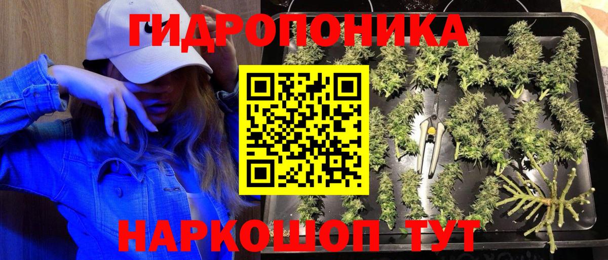 Шишки марихуана конопля Старая Русса